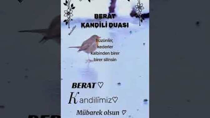 KS canlar Kandil günleri mesaj atıyor musunuz?