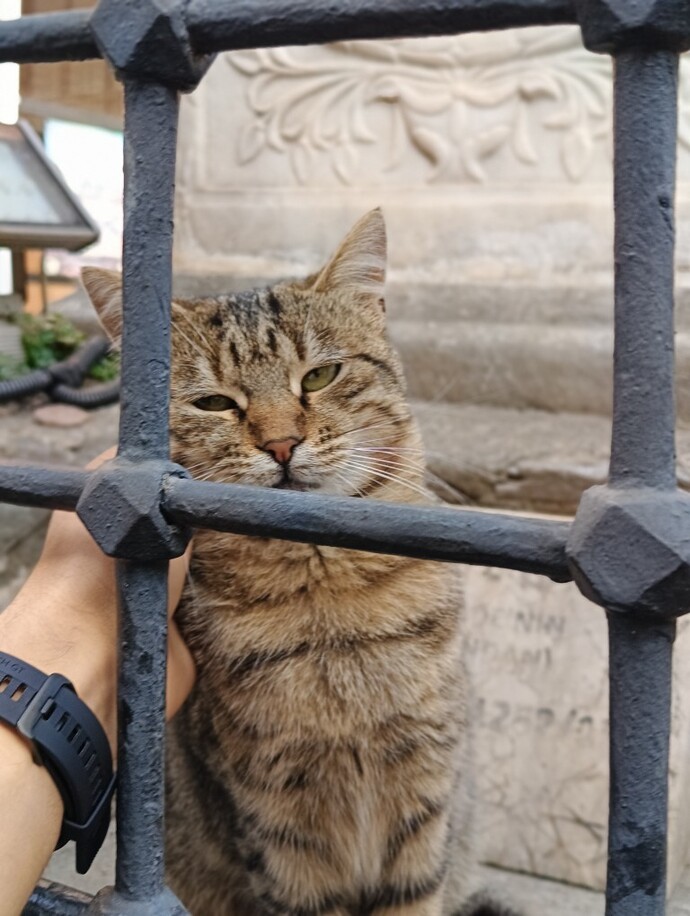 Bursa sokaklarında gerçekten her yerde Arapça tabela ve yazı mı var?