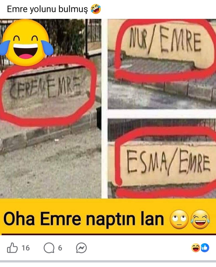 Bunlar Niye Adlarını Etrafa Yazıyorlar?