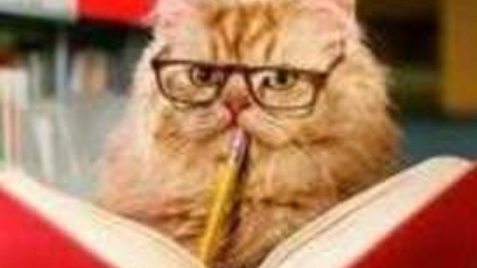 KSde kitap okumayı seven kültür sanat dizi film fenomeni kscanı hatırlayan var mı?