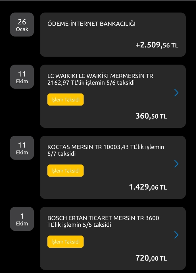 Ödediğiniz bir taksit var mi?
