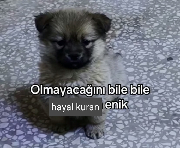 Uyumadan önce kendinize tutamayacağınız sözler verip gelecek planı yapıyo musunuz?
