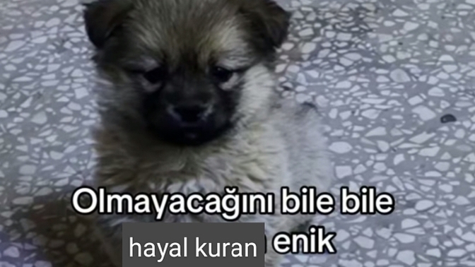 Uyumadan önce kendinize tutamayacağınız sözler verip gelecek planı yapıyo musunuz?
