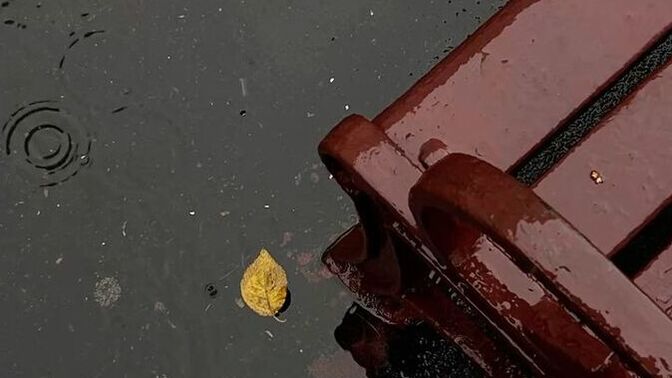 Yağmurlu havayı sever misiniz?