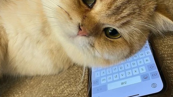 Mesaj atmayı unutuyor musunuz?