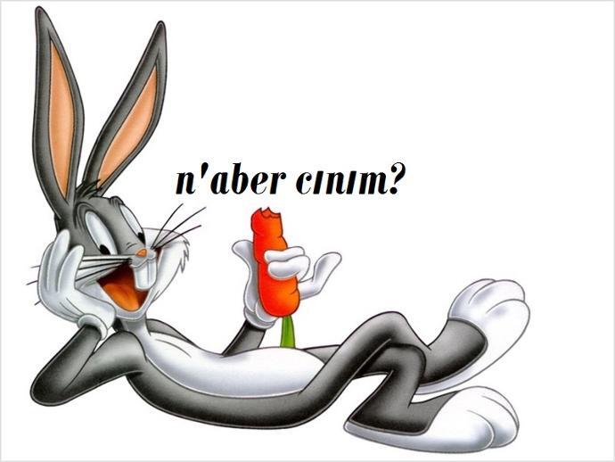 Size mesaj atsaydım mesajıma cevap verir miydiniz?