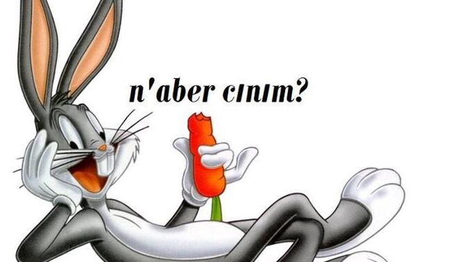 Size mesaj atsaydım mesajıma cevap verir miydiniz?