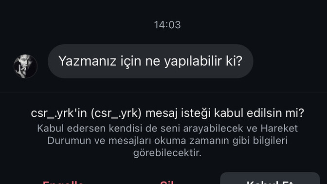 Fake hesaplardan gelen tanışma istekleri saçma değil mi? Bunlar ne yaşıyor?