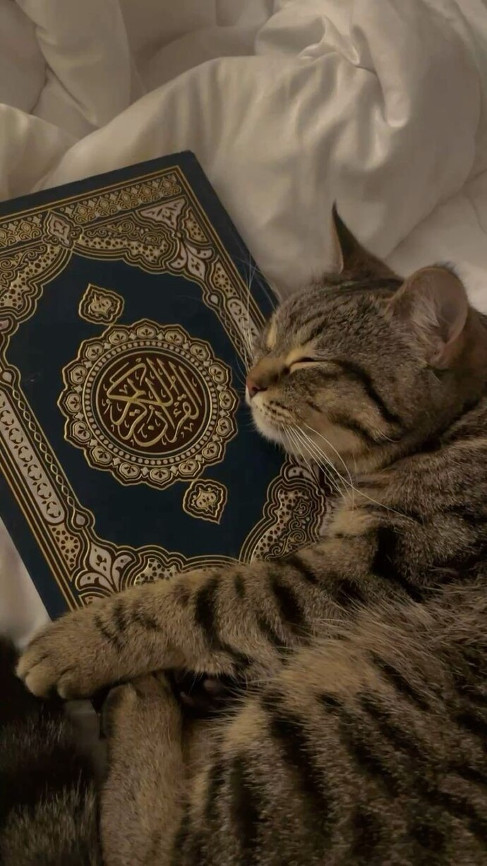 Neden MUSULMAN olmaktan vaz geçtiniz?