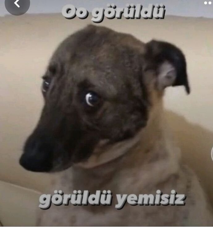 Mesajım görüldü ama cevap gelmiyor, hep ben yazıyorum sizce ne yapmalıyım?