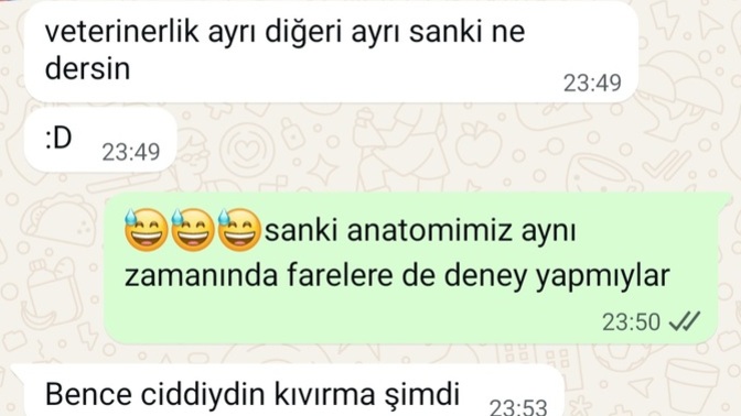 Sizce hayvanlar üzerinde deney yapılması anatomimizin aynı olduğunu gösterir mi 🤪?