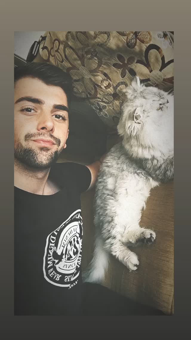 Asi Style Kedim İle Nasılız 🐱?