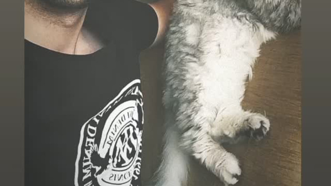Asi Style Kedim İle Nasılız 🐱?