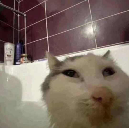 Selfie çekmeyi sever misiniz?