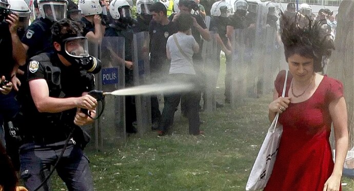 Taksim Gezi Parkı olayları neden başladı, asıl sebep neydi?