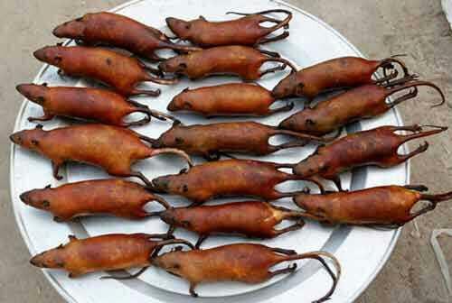 Eve fare girdiğinde ne yapıyorsunuz, fareyi en hızlı nasıl yok edebiliriz 🐭?