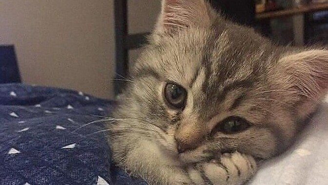 Uyumadan önce aklınıza özellikle takılan biri oluyor mu?