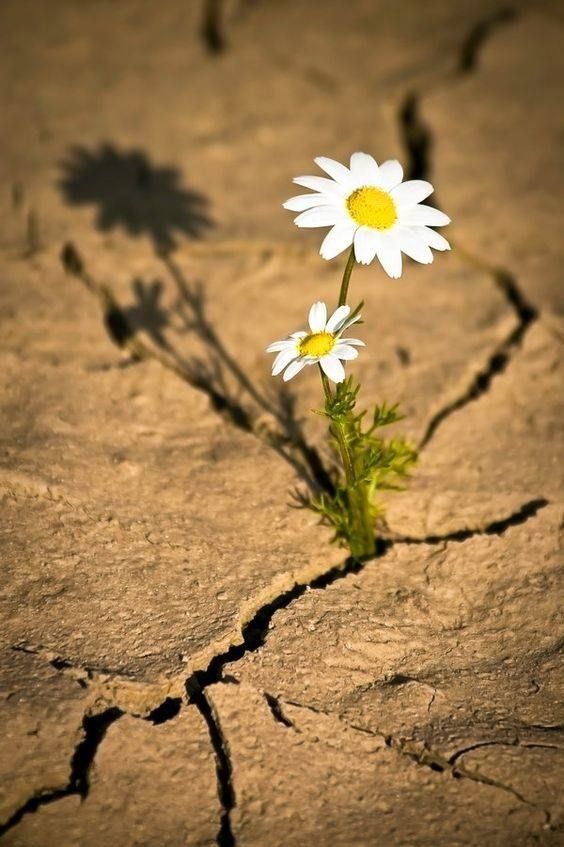 Bugün biri sana güzel bir haber verecek olsa, ne duymak isterdin?