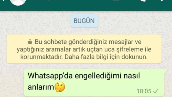 WhatsApp tek tik ne demek? Tek çizgi anlamı nedir?