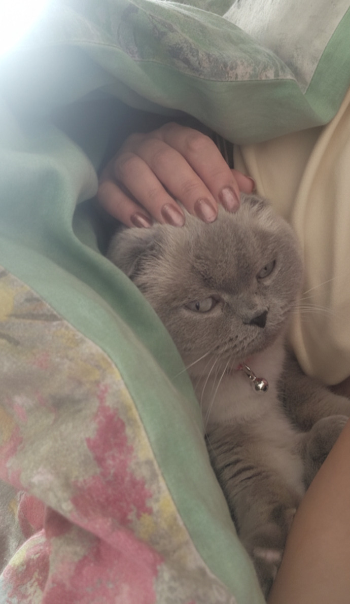 Sabah böyle uyandım çok tatlı değil mi 😻?