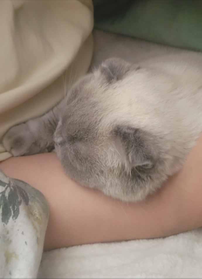 Sabah böyle uyandım çok tatlı değil mi 😻?