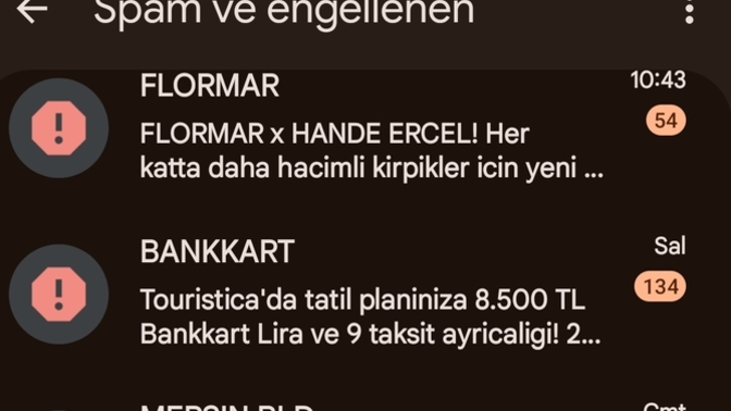 Telefonda spam ve engellenen mesajları ne sıklıkla kontrol ediyorsunuz?