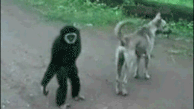 Sizinle muhabbet etseydik iyi anlaşır mıydık?