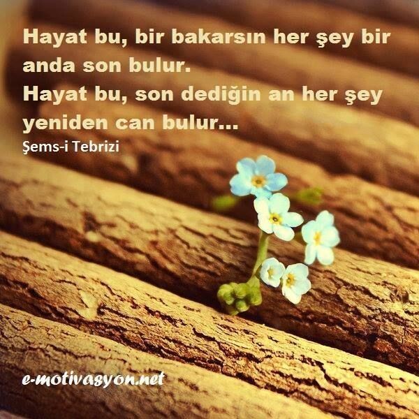 Size iyi hissettiren şey veya şeyler nelerdir?