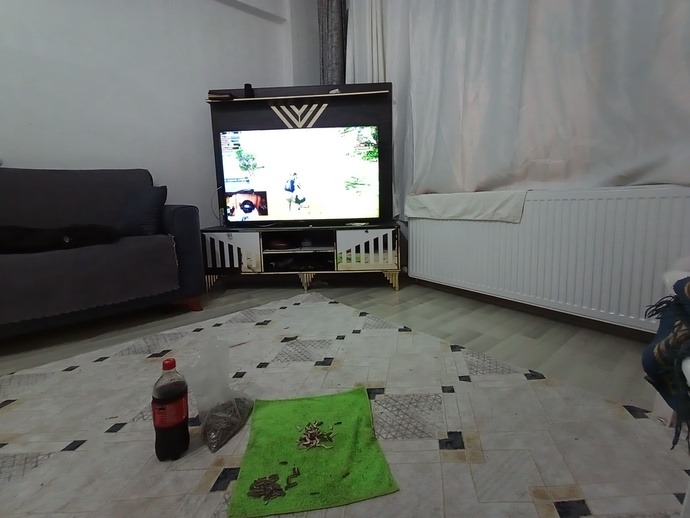 Evde tek kalınca ne yapıyor sunuz?