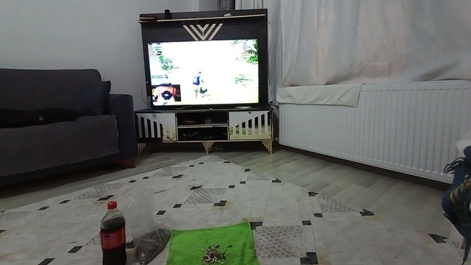 Evde tek kalınca ne yapıyor sunuz?