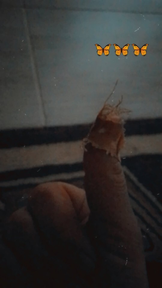 Görmek mı acıtır hissetmek mı?