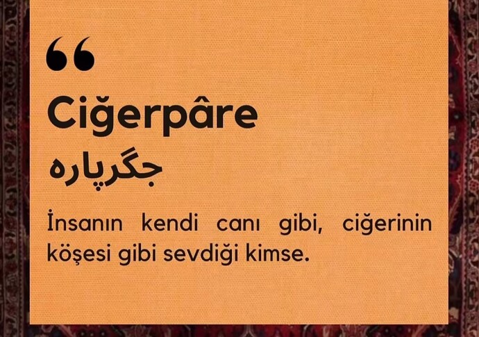 Ciğerinizin köşesi gibi sevdiğiniz birileri var mı?