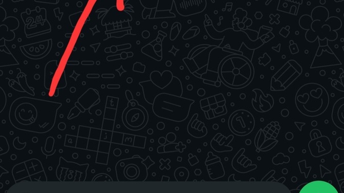 Millet bakar mısınız whatsapta ki bu tarih ne anlama geliyor?