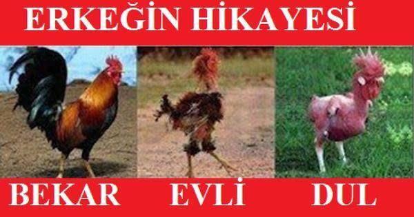 bekar