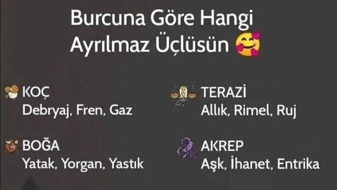 Burcuna göre hangi ayrılmaz üçlüsün 😅?