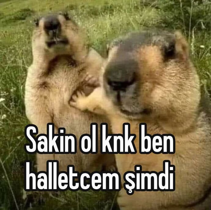 Son çıkış hırs yapmak ama uyumazsan verimsiz geçebilir