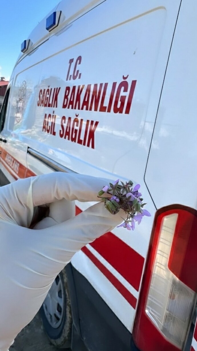 Mesleğinizin zorlukları arasında sizi hayata bağlayan o küçük şey nedir?