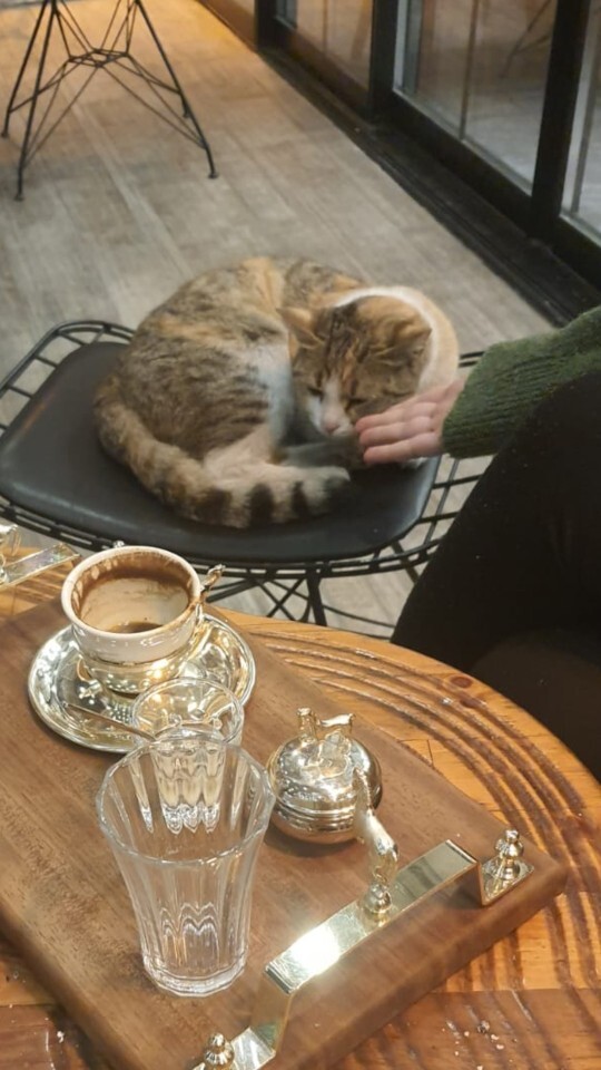 İzini kaybettiğiniz arkadaşınızı bulsanız nasıl olur? Var mı özlemini çektiğiniz birileri?