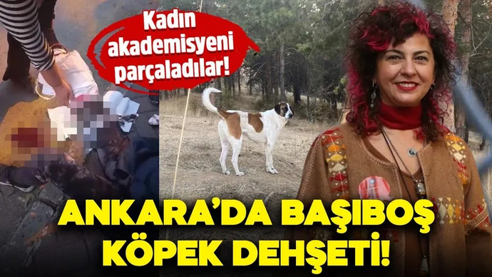 Kedisini köpeğini çocuğu gibi sevenler sizce psikolojik olarak sorunlu mu?