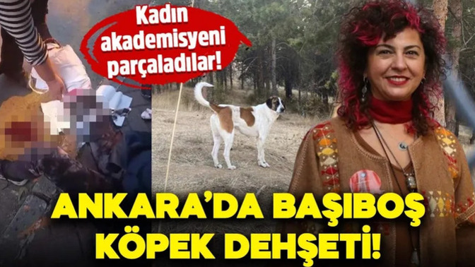 Kedisini köpeğini çocuğu gibi sevenler sizce psikolojik olarak sorunlu mu?