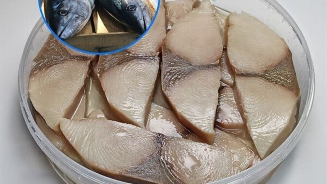 Lakederda sizce hangi balıktan daha güzel olur?