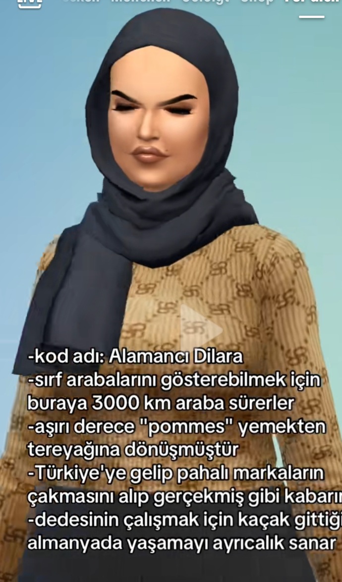 Türkiye’de yaşayanlar gurbette yaşayanlardan tam olarak ne bekliyor, ne istiyor?