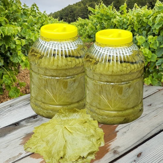 Sarma yaprağı tadı sizin için fark eder mi?