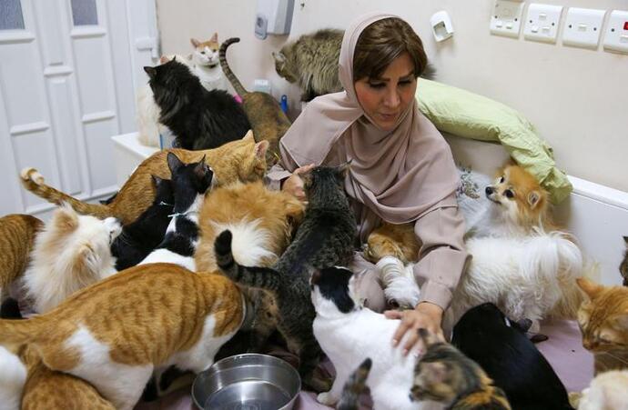 Evde kalmış kadınlar neden çocuk sahiplenmek yerine kedi köpek beslemeyi tercih ediyor?
