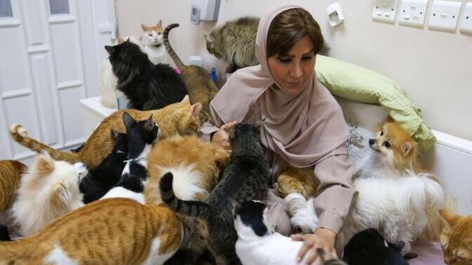 Evde kalmış kadınlar neden çocuk sahiplenmek yerine kedi köpek beslemeyi tercih ediyor?