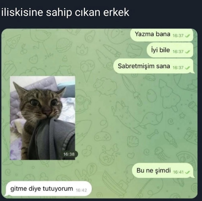 İlişkide çabalayan erkek kovalayan erkek mi?