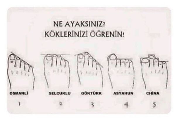 Ne ayaksınız😂?
