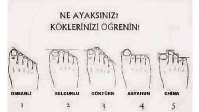 Ne ayaksınız😂?