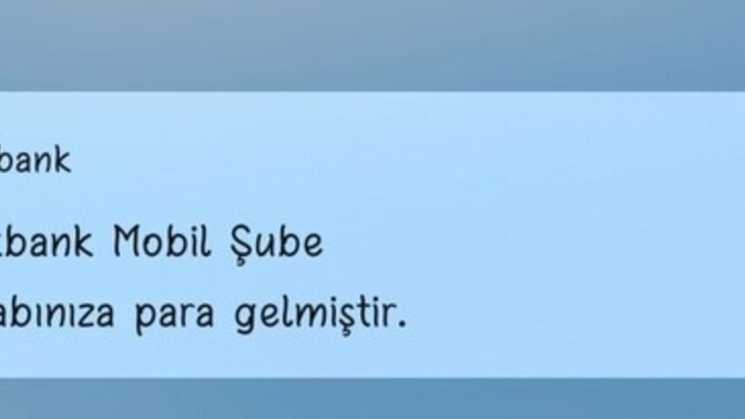 Telefonunuza gelen en sevdiğiniz bildirim hangisi?