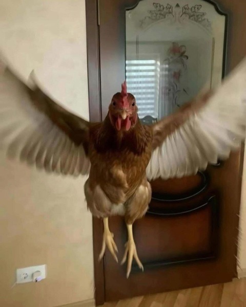 Ellerinizin kirlenmesi sizi rahatsız eder mi?